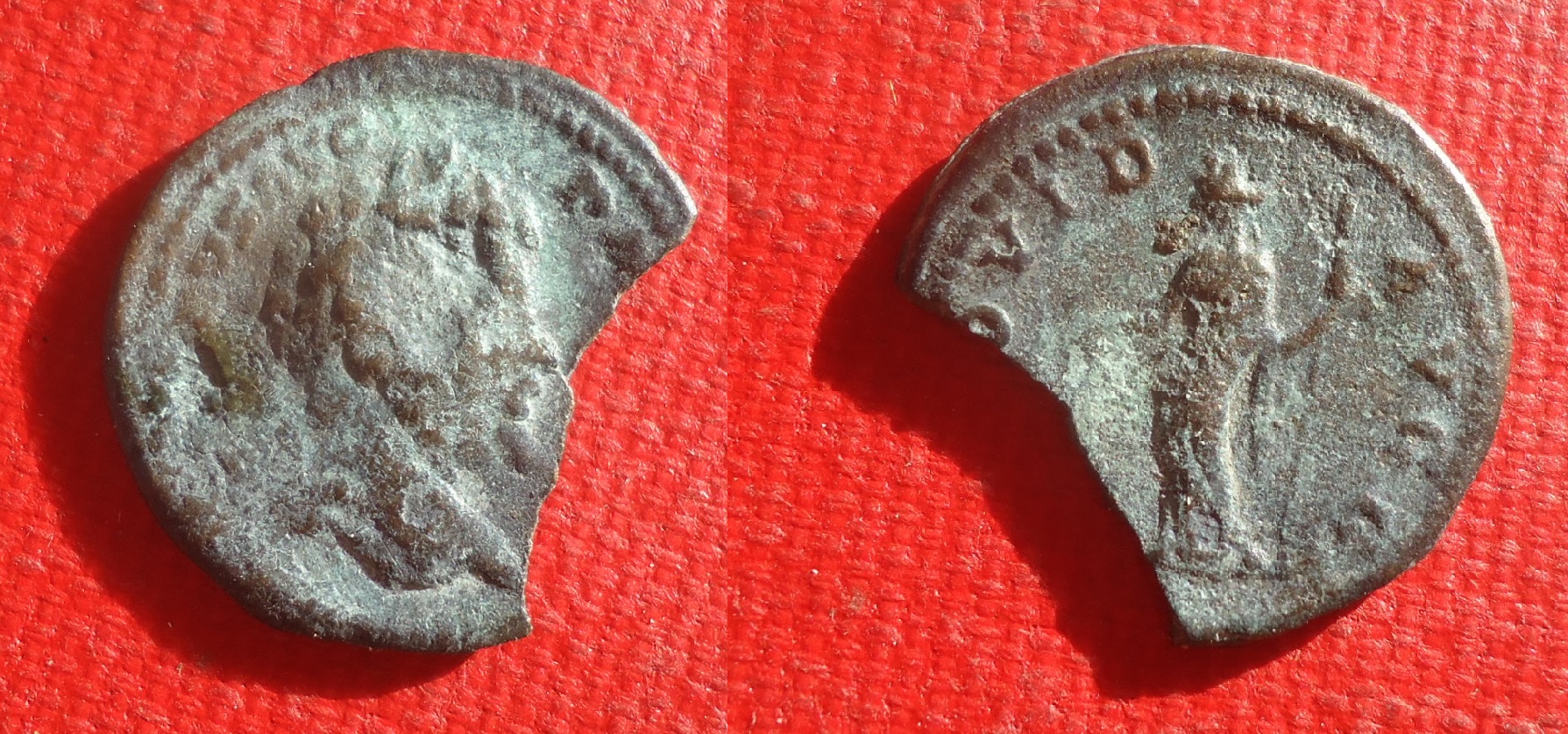 Sept Severus - Limes Den lot Sep 2019 (0).jpg