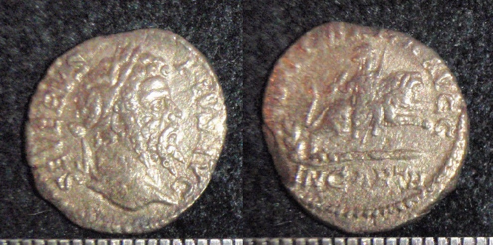 Sept. Severus - Lion for Carthage den May 2017.jpg
