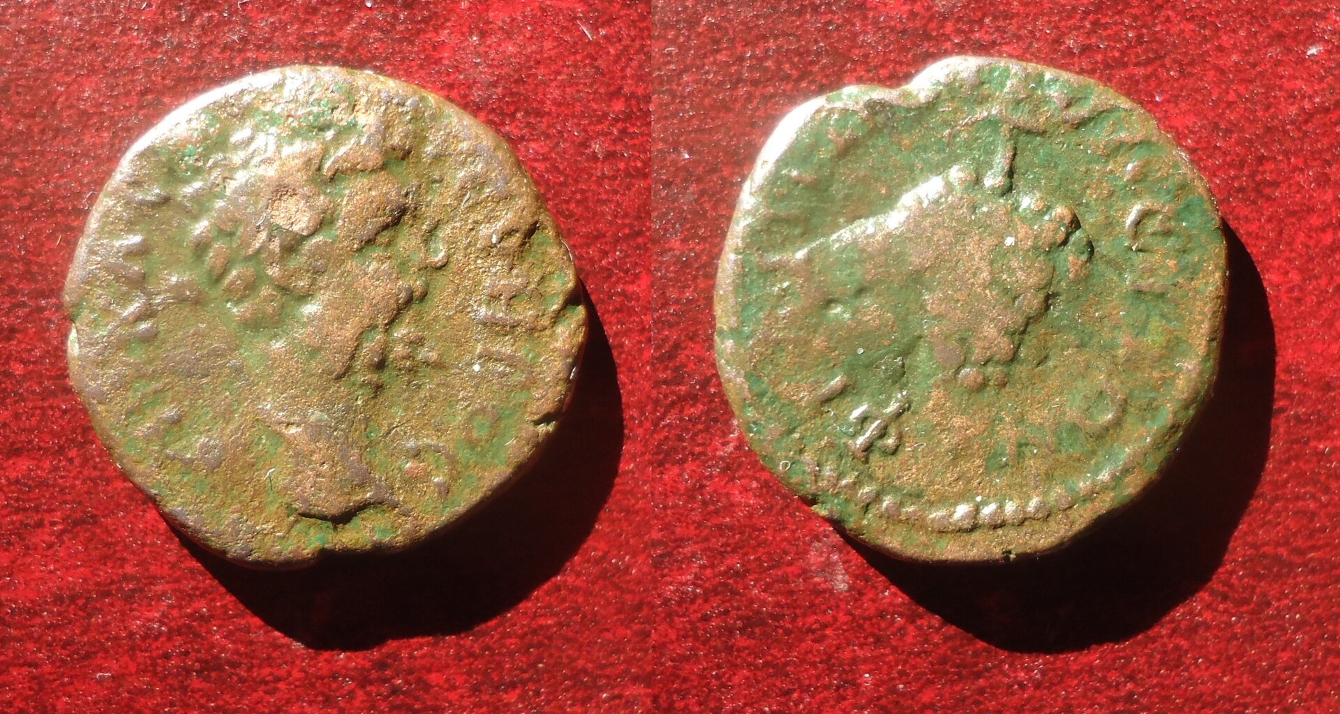 Sept. Severus - Philippopolis AE grapes Jan 2020 (1).jpg