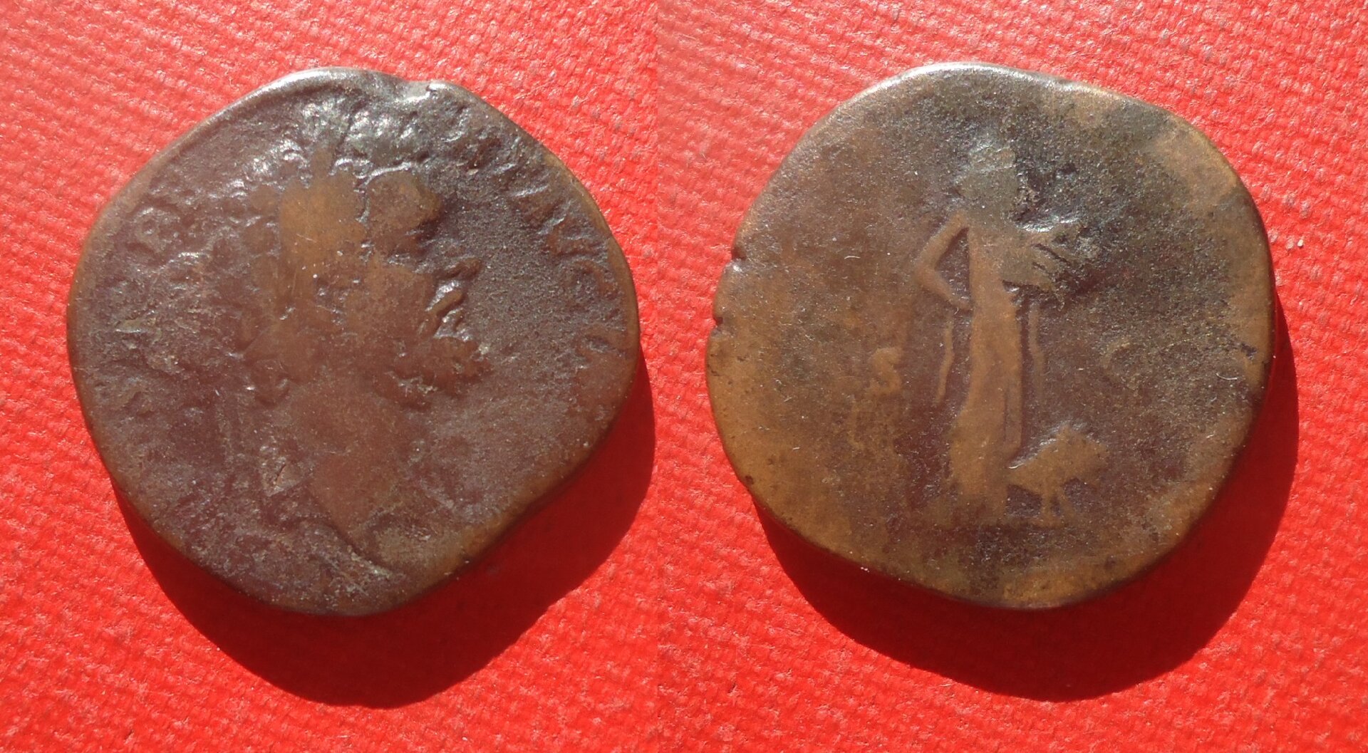 Sept. Severus - Sest. Africa 668b Sep 2020 (0).jpg