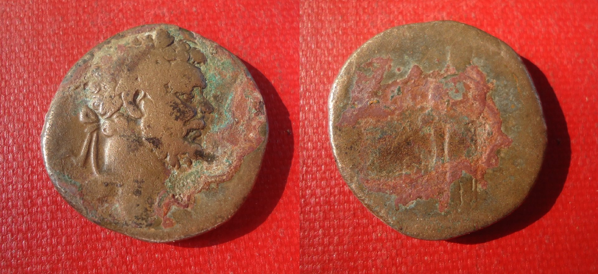 Sept. Severus - Sest. Minerva std. July 2019 (0x1).jpg