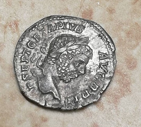 septi16.12.2018a.jpg