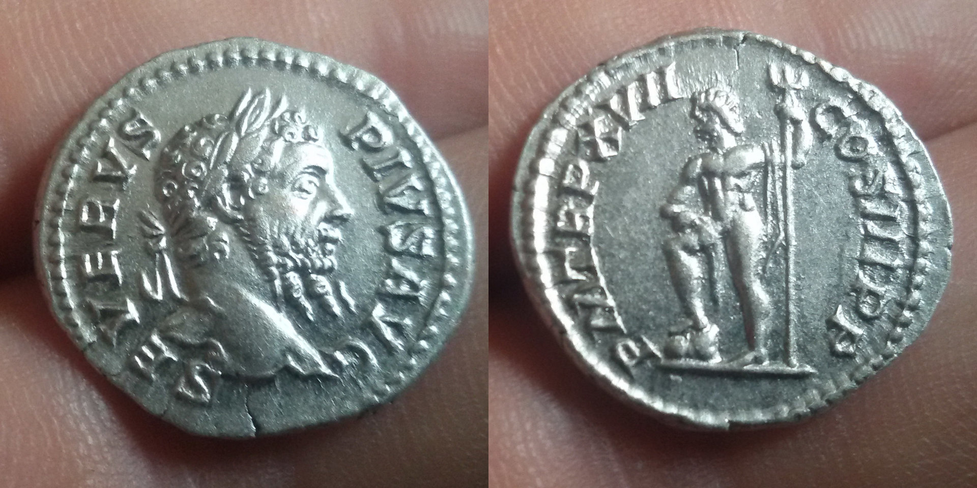 Septimius 1 cleaned.jpg