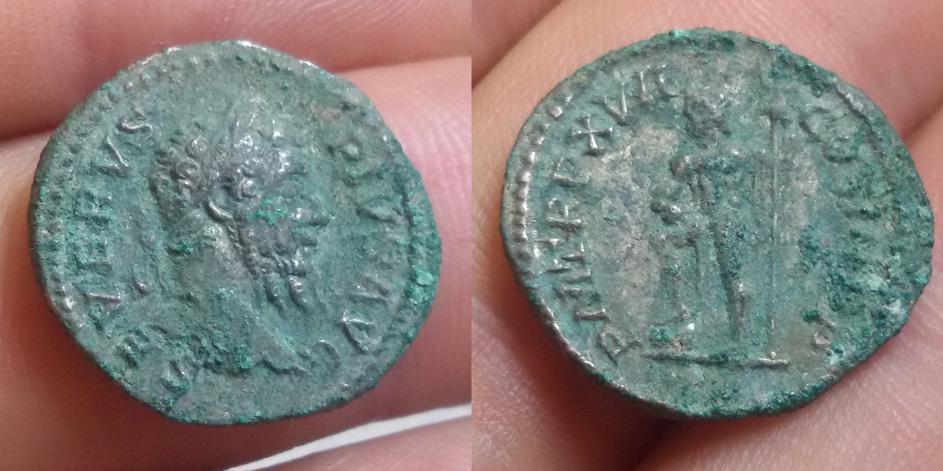 Septimius 1 uncleaned.jpg