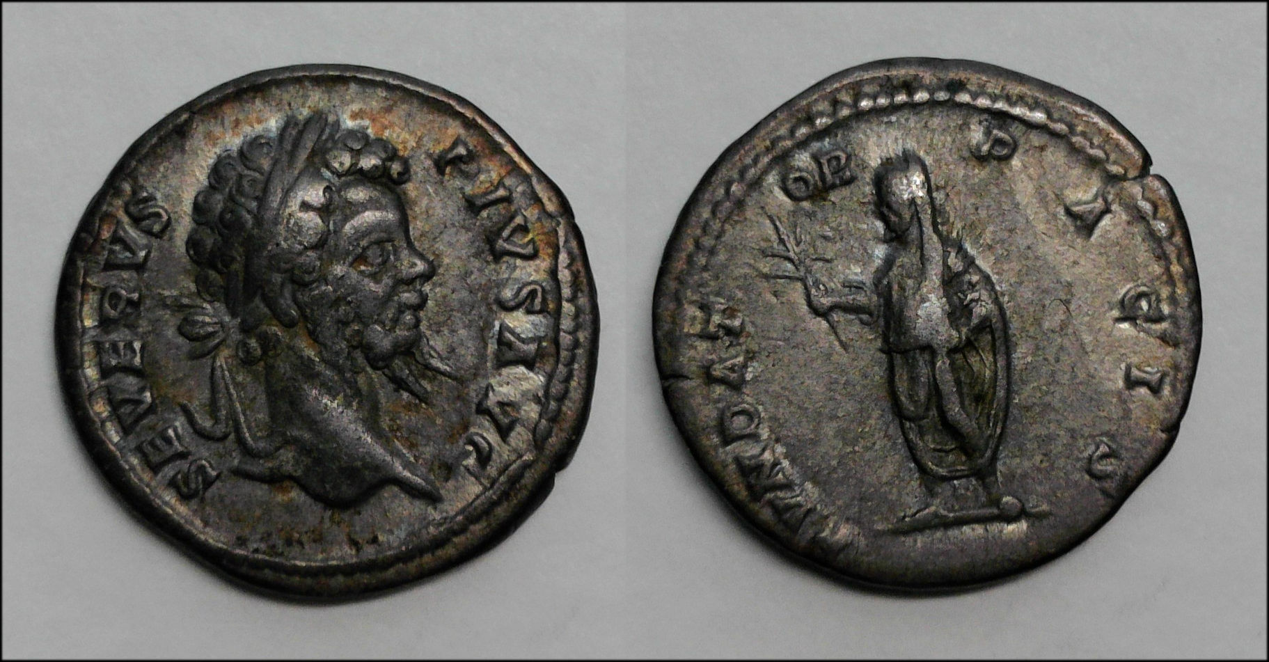 Septimius Fundator Pacis.jpg