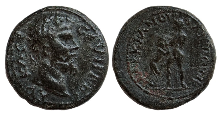 septimius hercules400.jpg