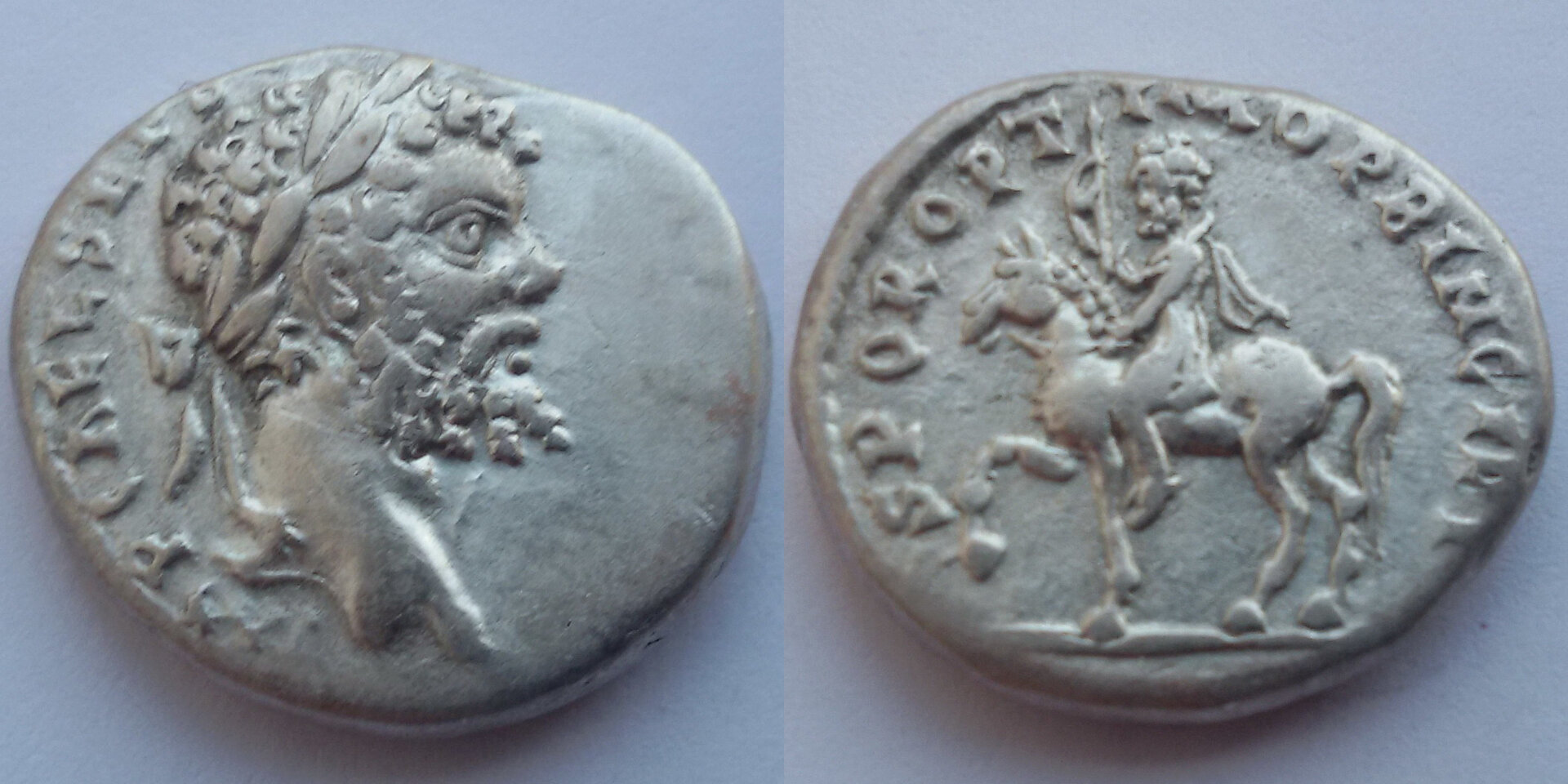 Septimius.jpg