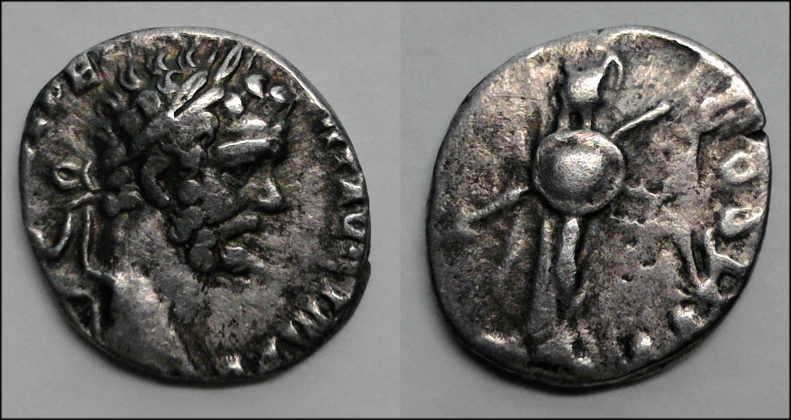 Septimius Minerva.jpg