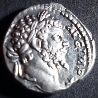 Septimius-ob.jpg