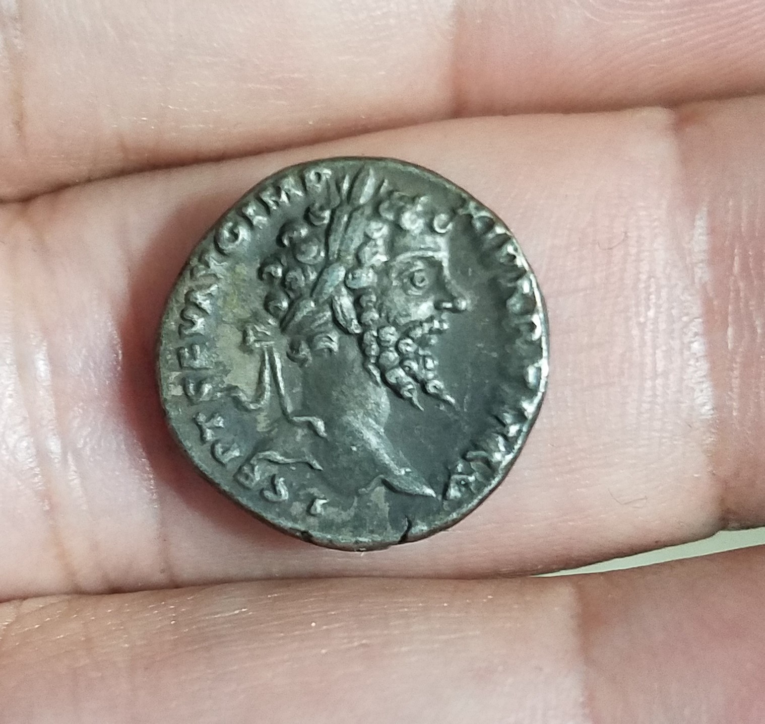 Septimius Obverse.jpg