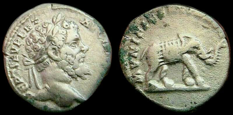 Septimius Severus 21.jpg