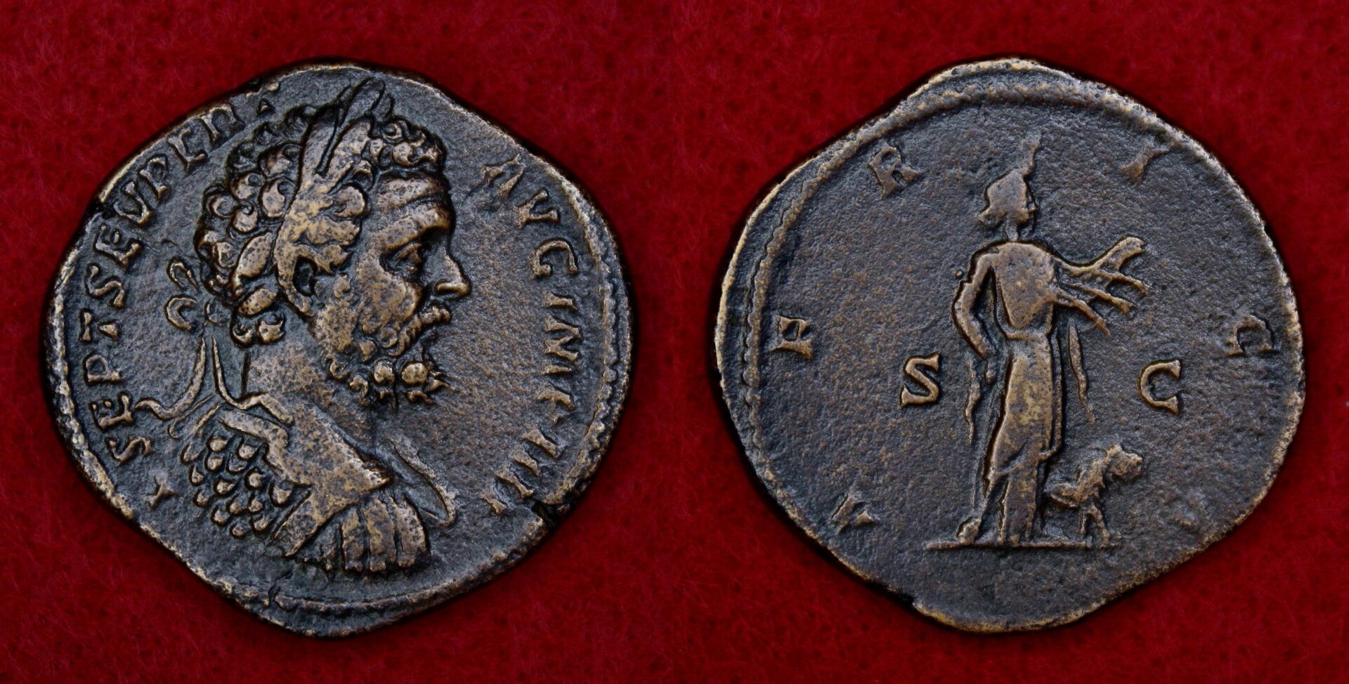 Septimius Severus AE Sestertius (4).jpg