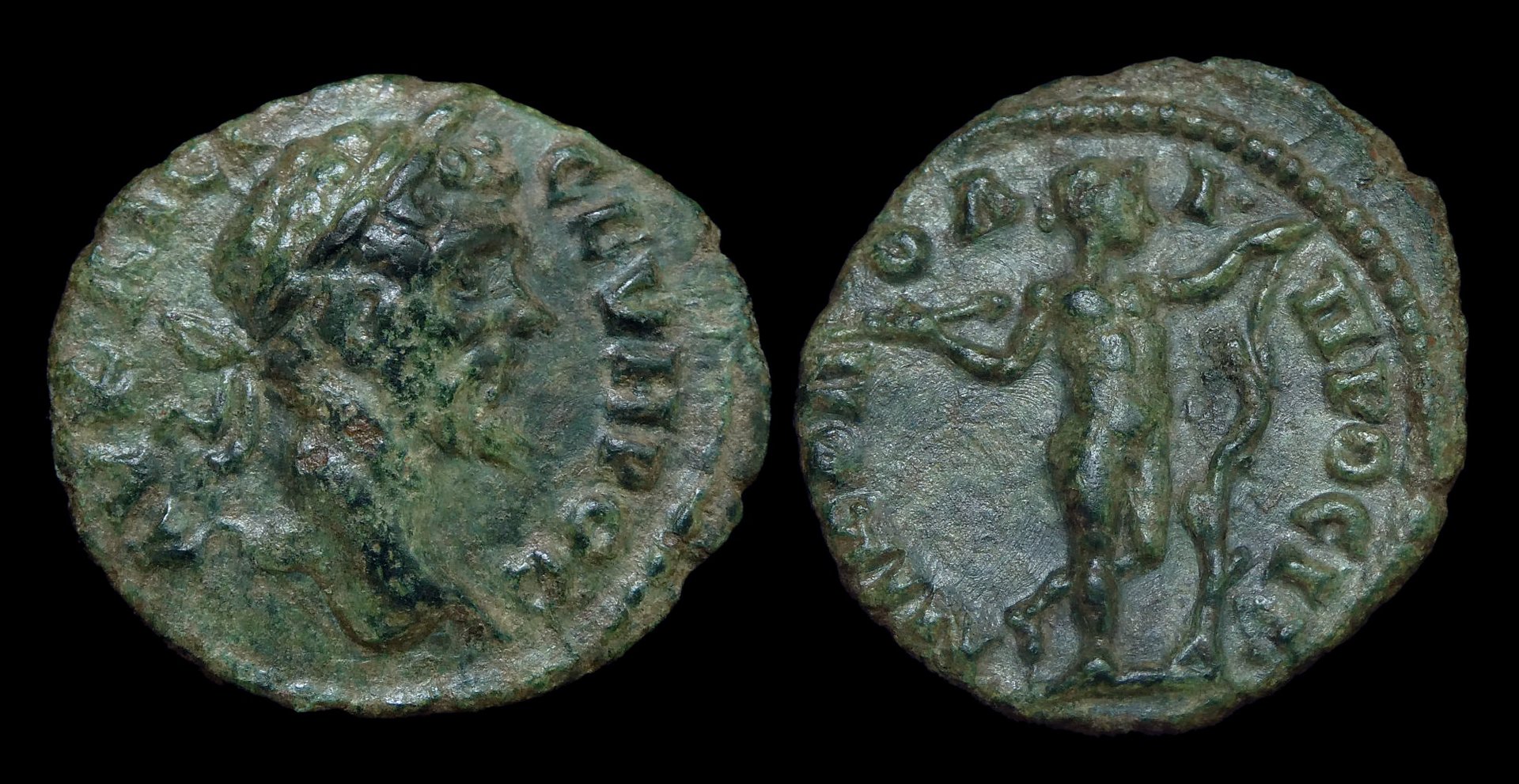 Septimius Severus - AE18 Nicopolis Apollo Sauroktonos.JPG