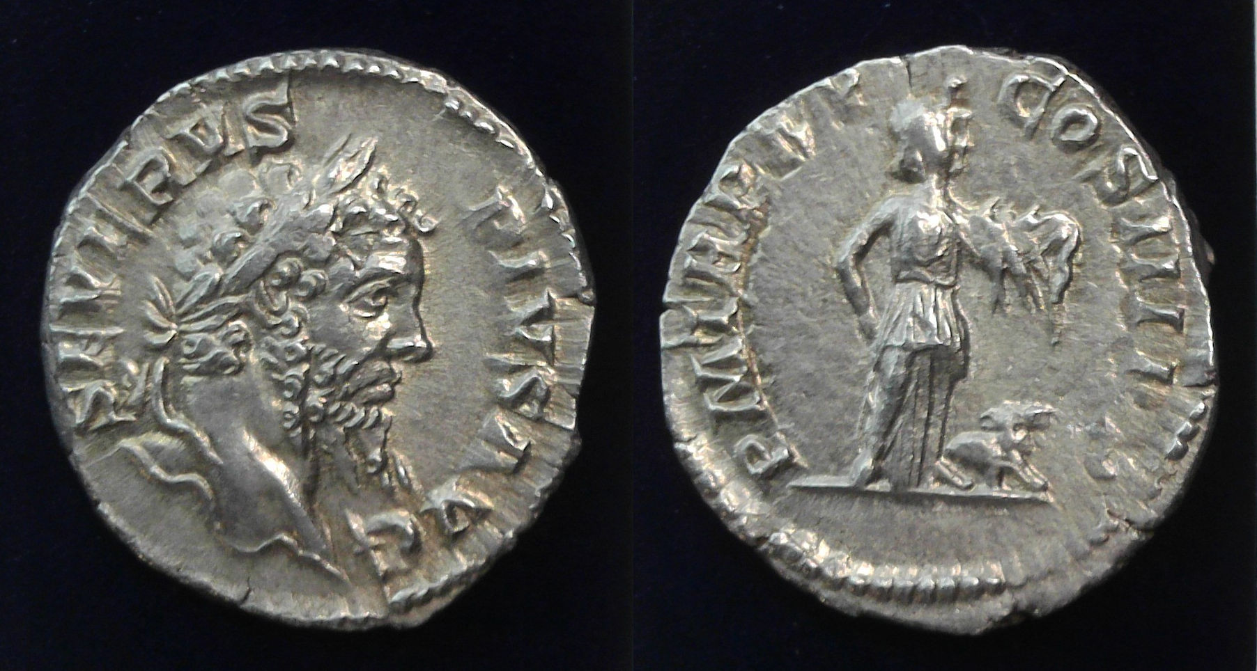 septimius Severus Africa.jpg