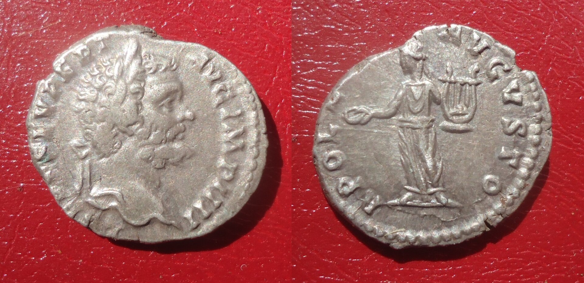 Septimius Severus - Den. Apollo Oct 2018 (0).jpg