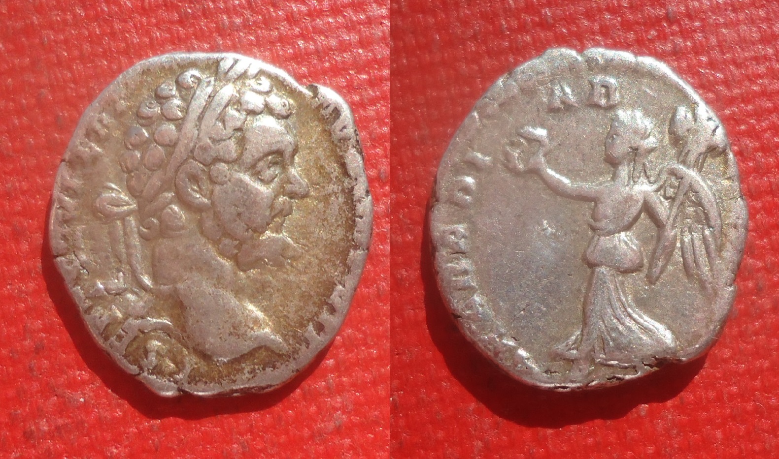 Septimius Severus - Den. ARAB Victory RIC 64 Apr 2019 (0).jpg