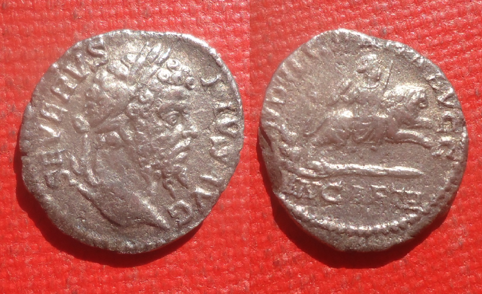 Septimius Severus - Den Carthage DEI CEL RIC 266 May 2017 (0).jpg