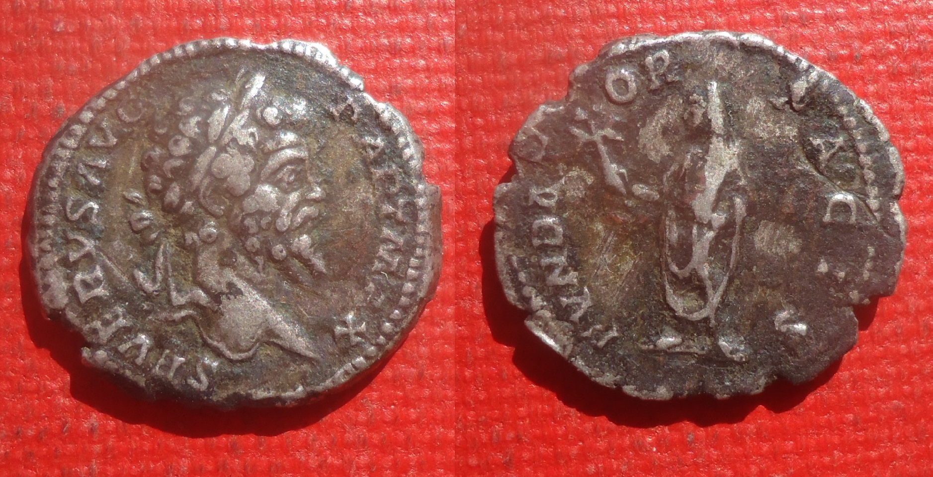 Septimius Severus - Den FVND PACIS RIC 160 Jan 2018 (0).JPG