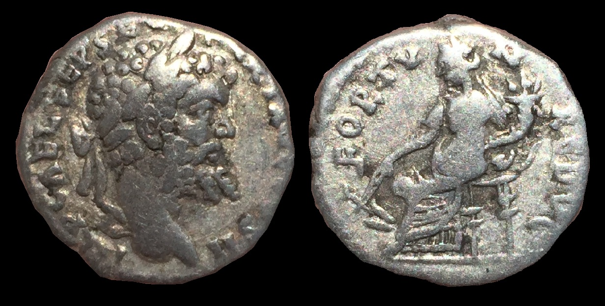 Septimius Severus Denarius.jpg