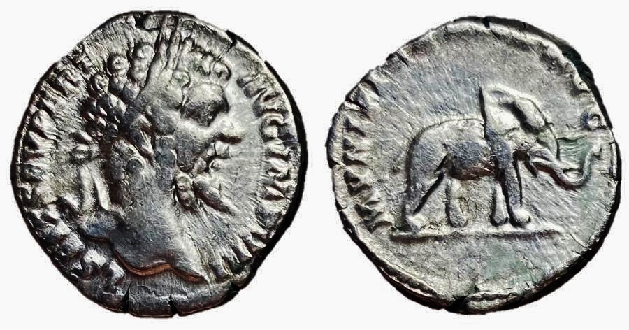 Septimius Severus - Elephant.jpg