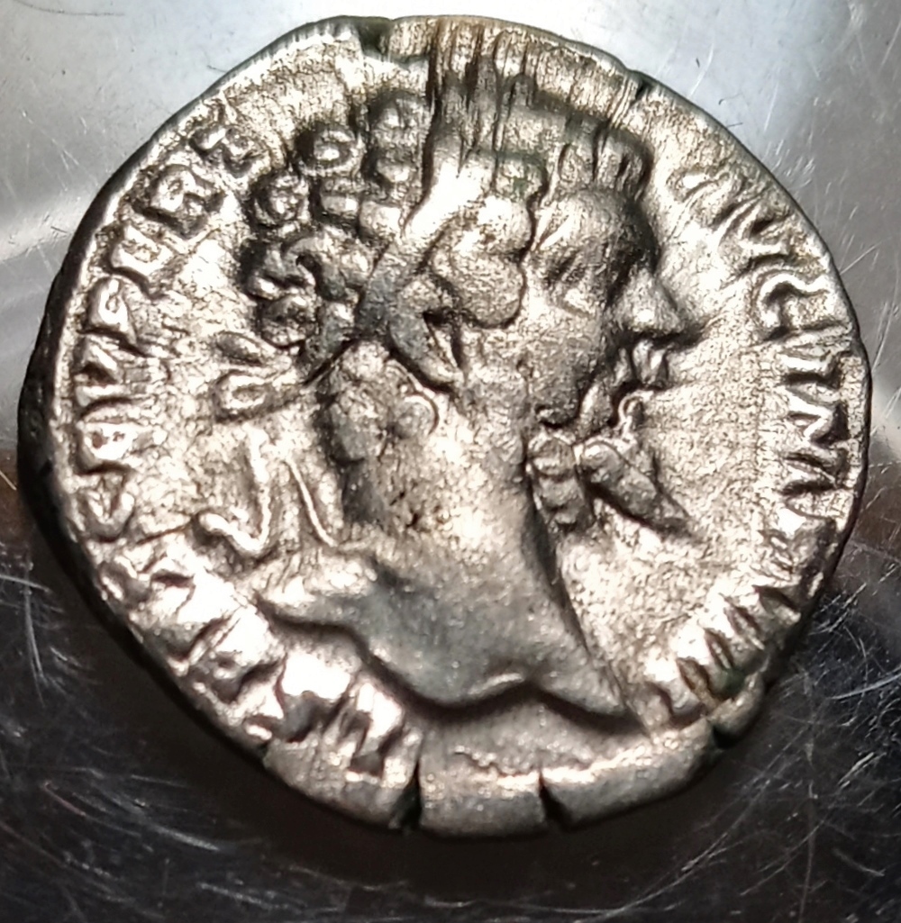 Septimius Severus- elephant Obv 1.jpg