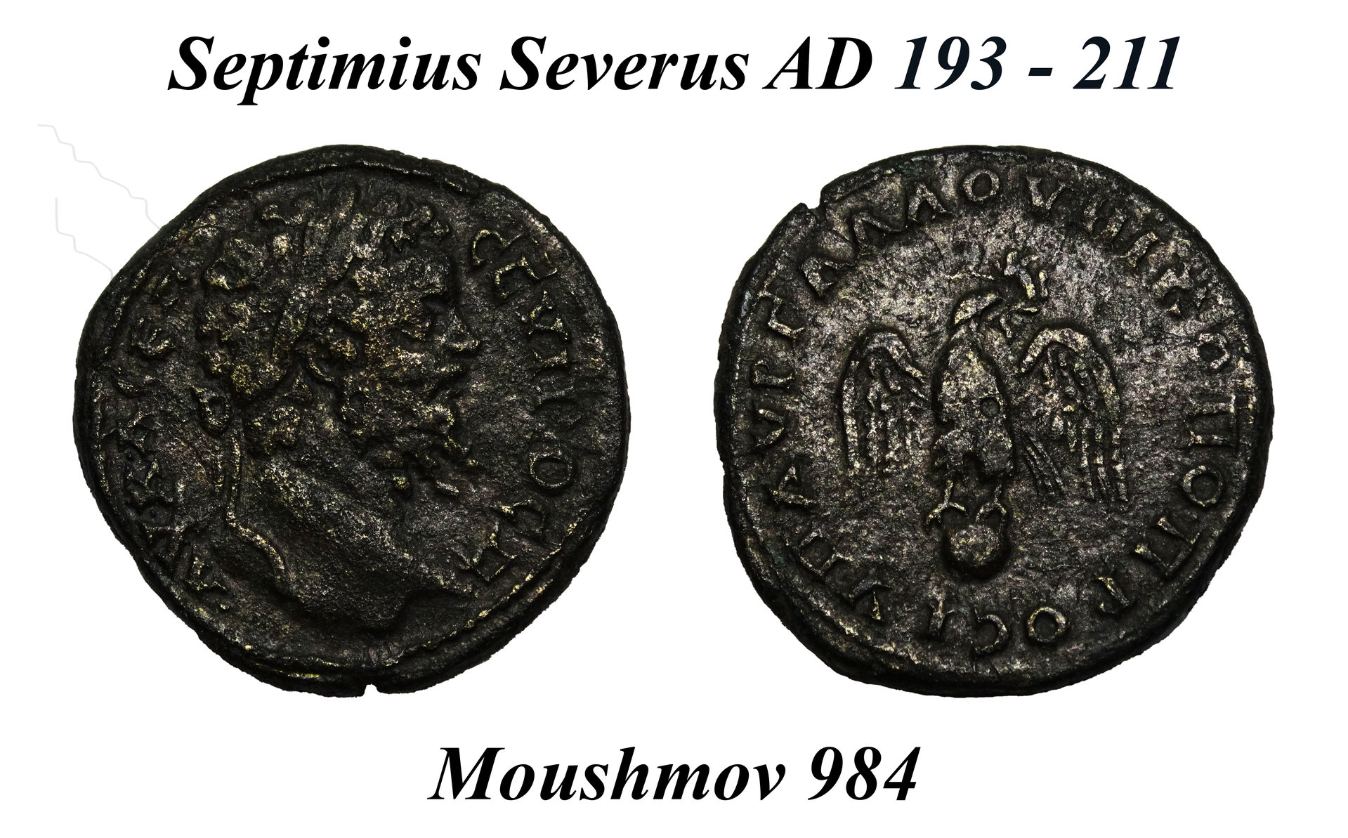 Septimius Severus - Moushmov 984.jpg
