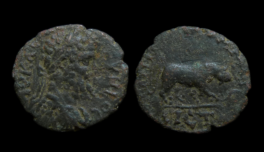 Septimius Severus - Nicopolis Horse 858.jpg