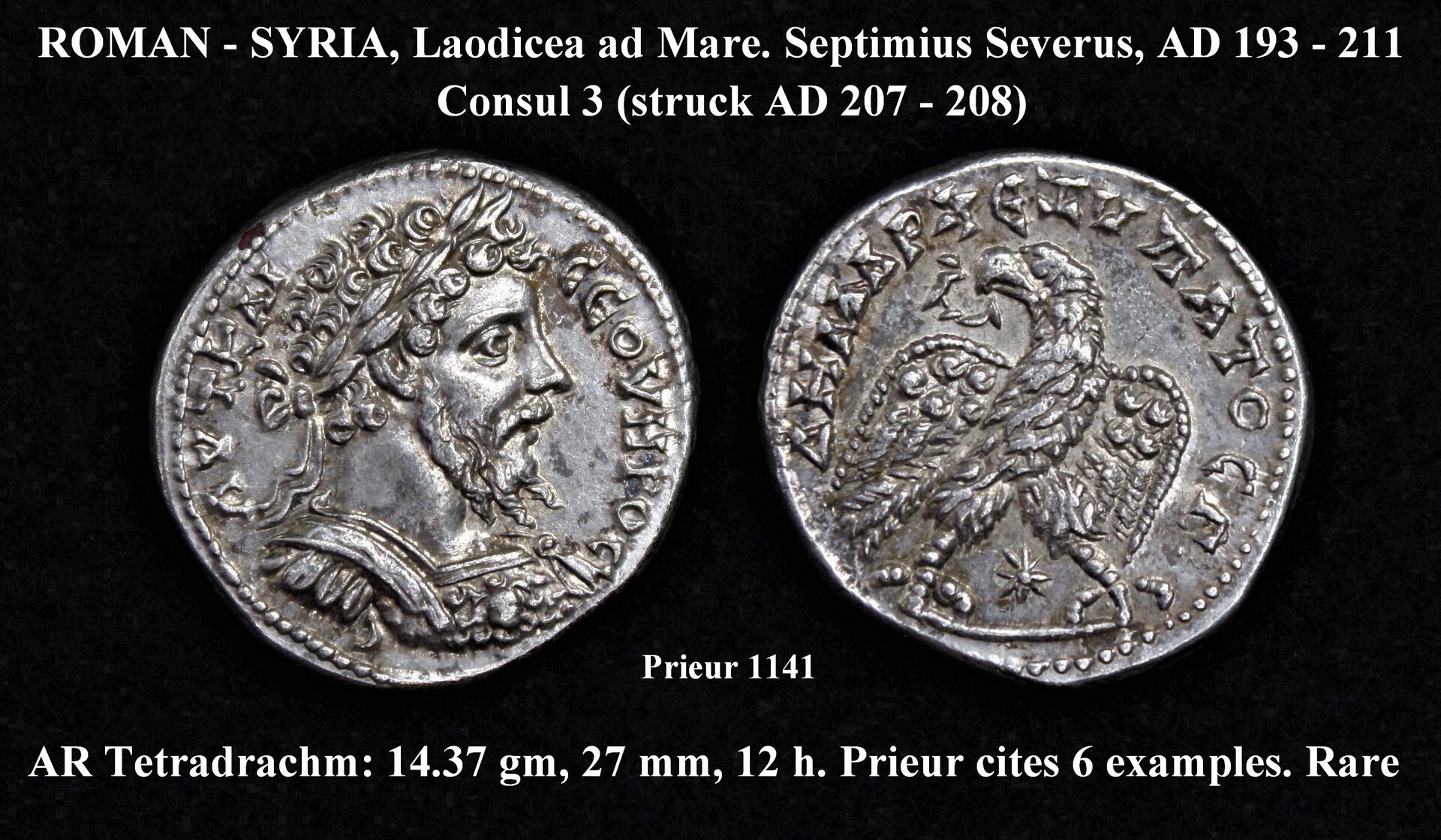 Septimius Severus, Prieur 1141, AWK Collection.jpg