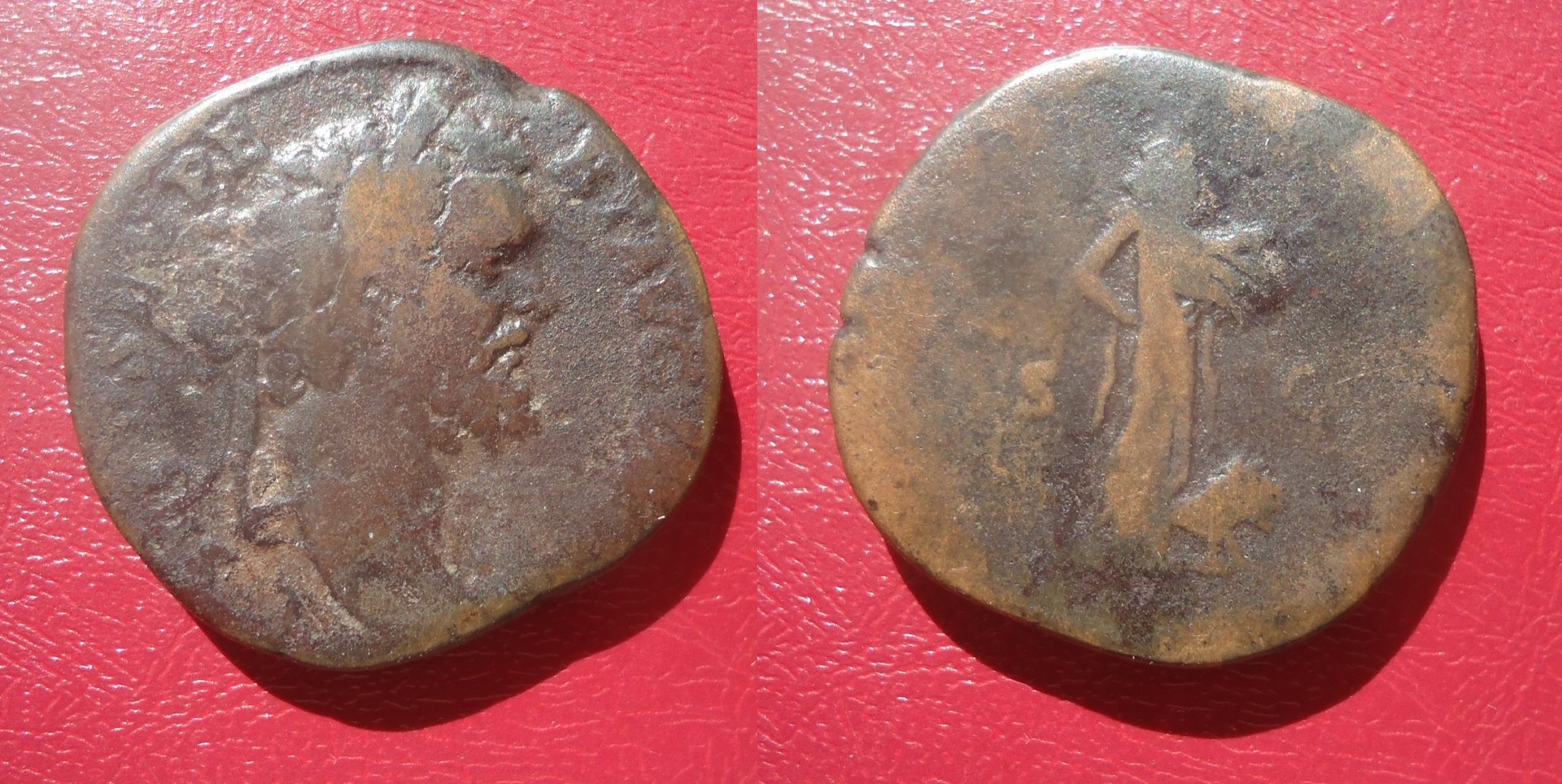 Septimius Severus - Sest. AFRICA Sep 2020 (0a).jpg