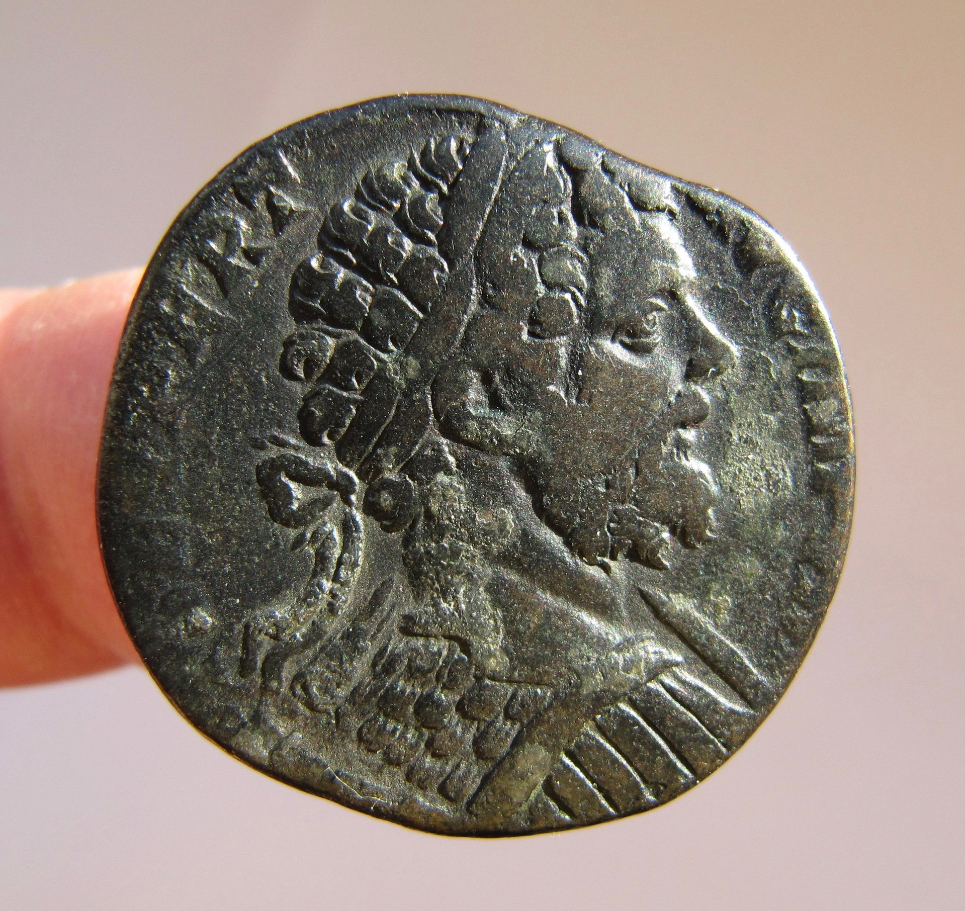 Septimius Severus Sestertius -Horse-Obv - 1.jpg