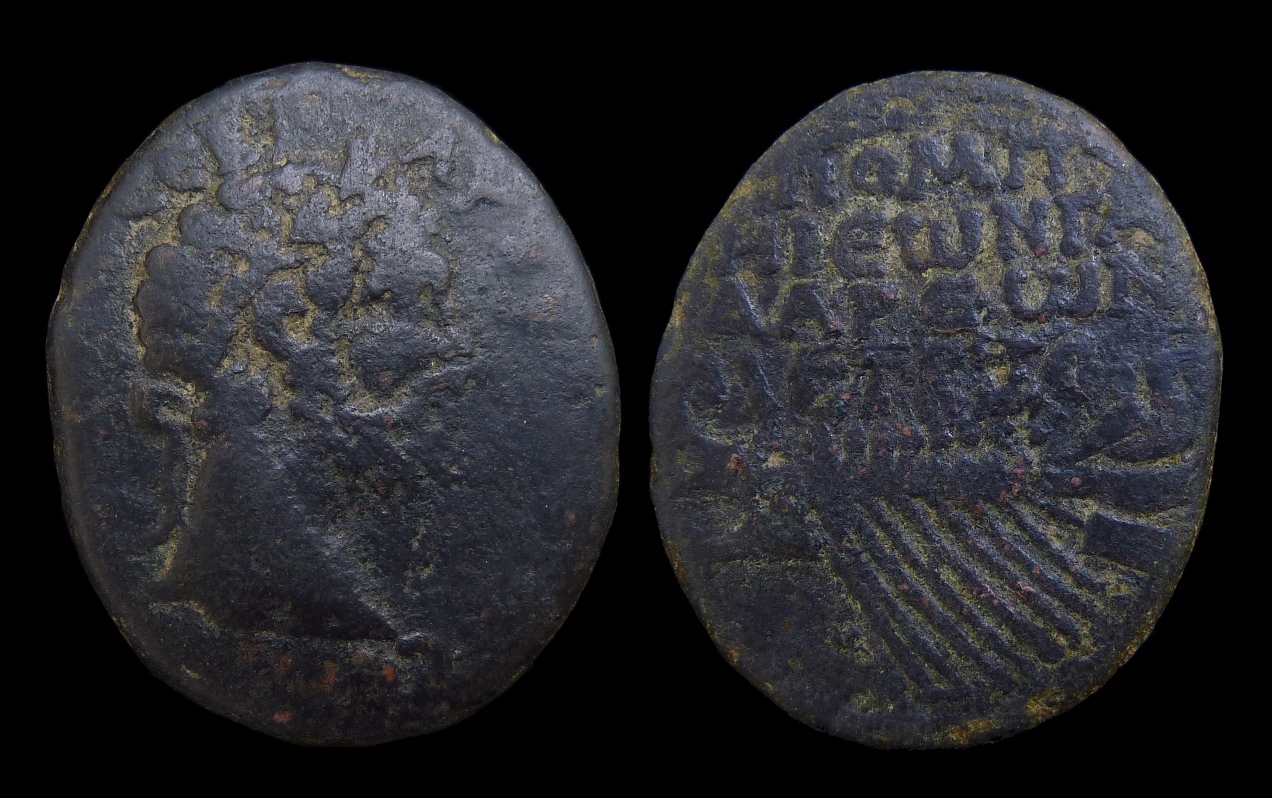 Septimius Severus - Syria Gadara AE36 ex Moussaieff 3481.jpg