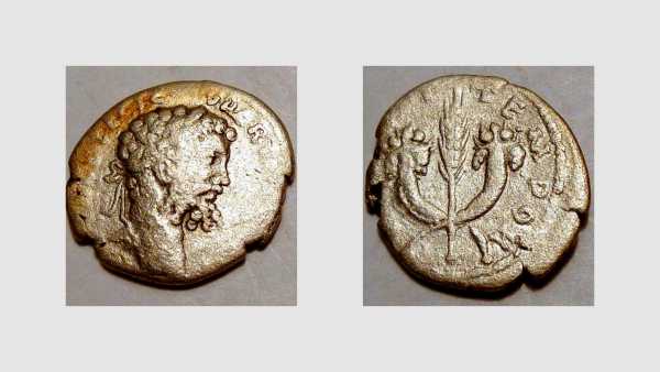 Septimius_Severus 3_opt.jpg