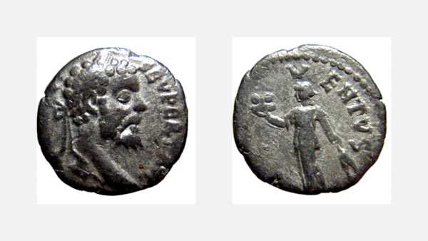 Septimius_Severus 6_opt.jpg
