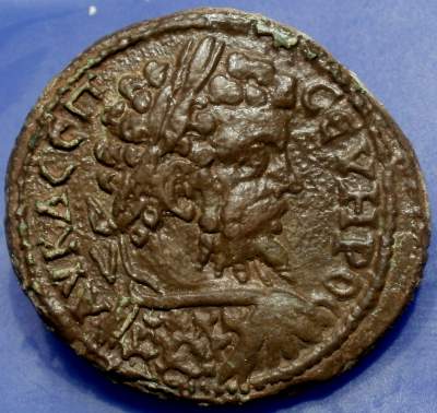 Septimius_Severus15 OBV.jpg