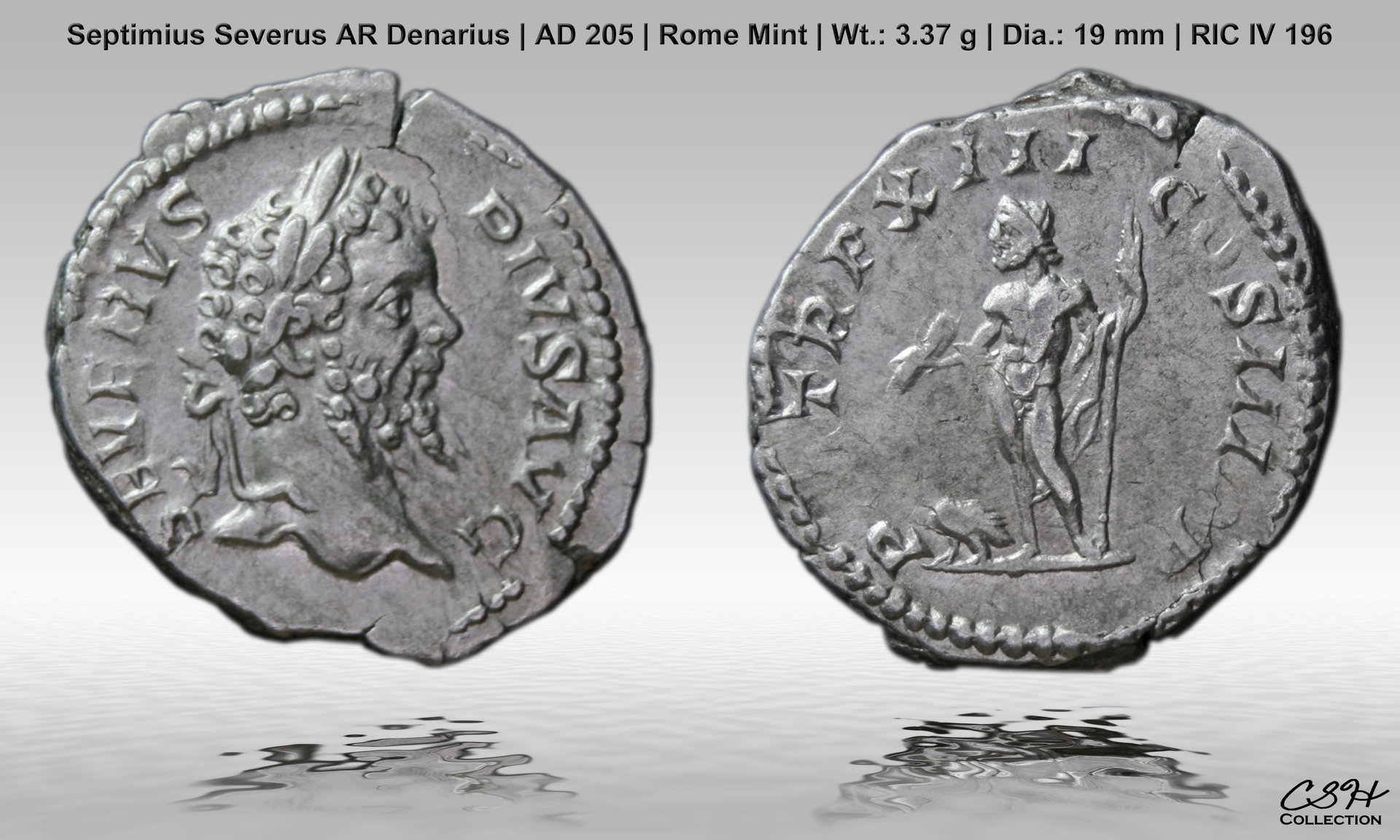 Septimius_Severus_AD_205.jpg