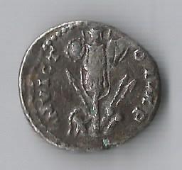 SeptImp R Trophy.jpg