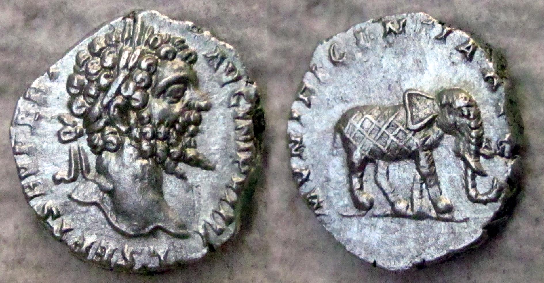 Septimus Elephant Collage.jpg