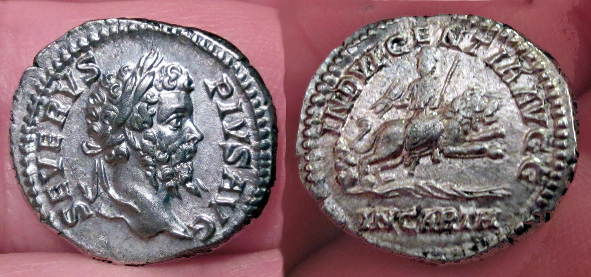 Septimus Severus Lion Collage.jpg