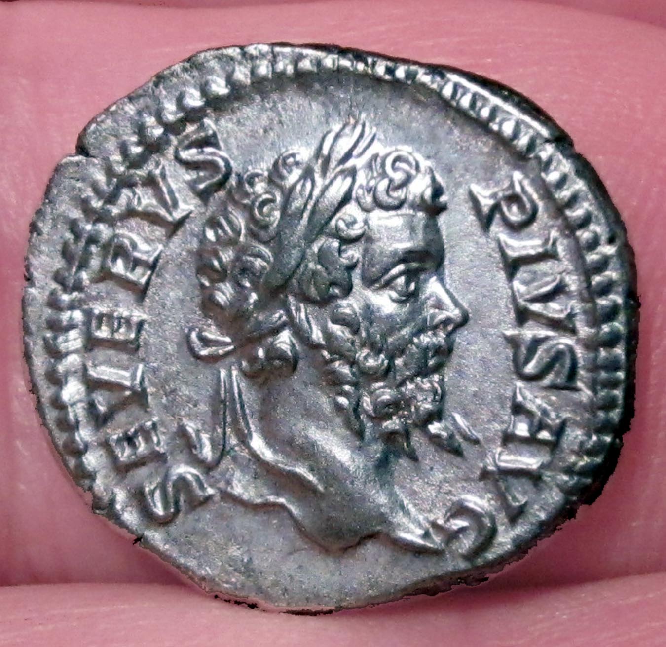 Septimus Severus Lion Obv.jpg