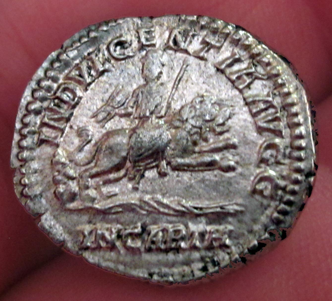 Septimus Severus Lion Rev.jpg