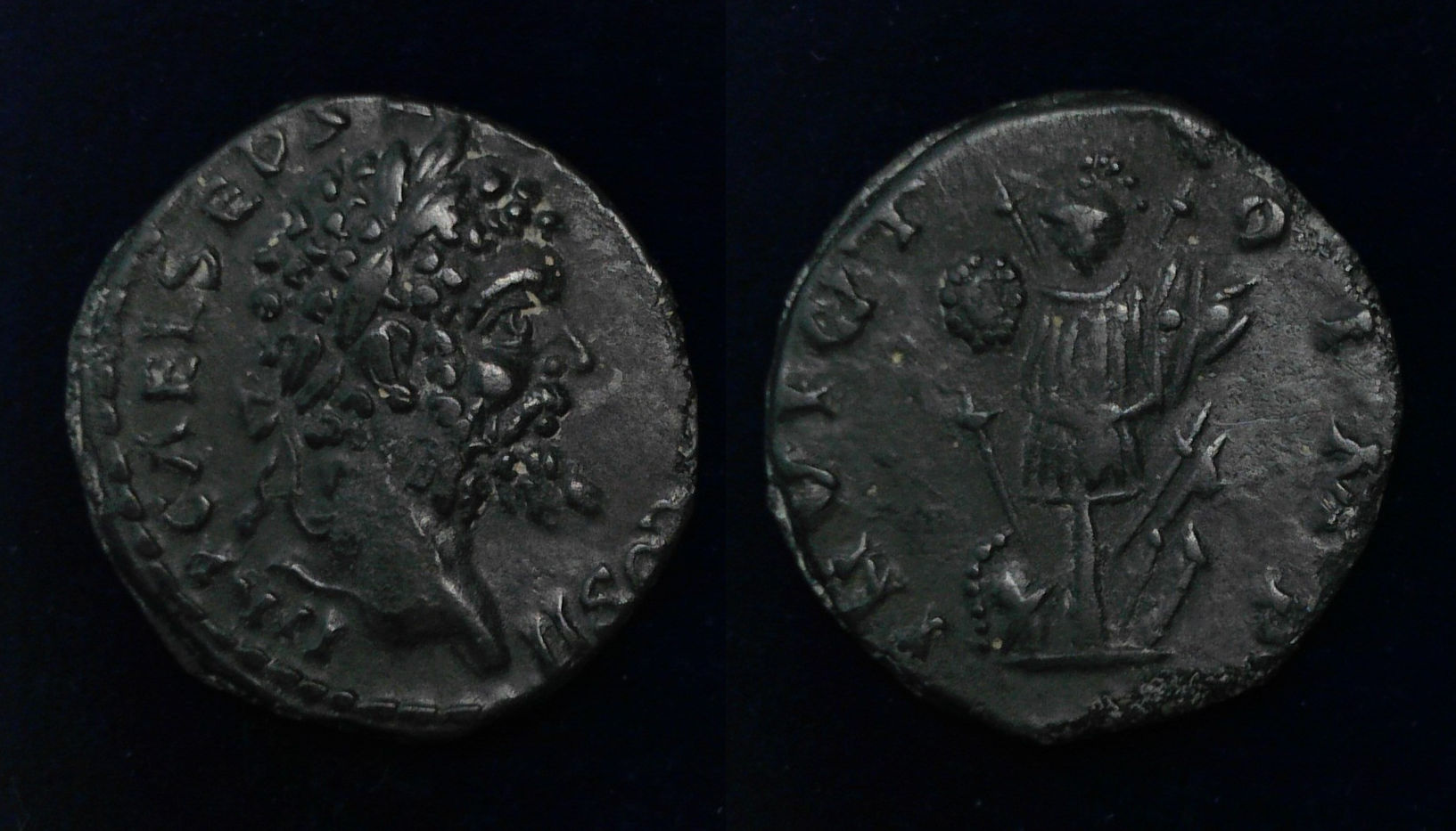 SeptSev Captive.jpg