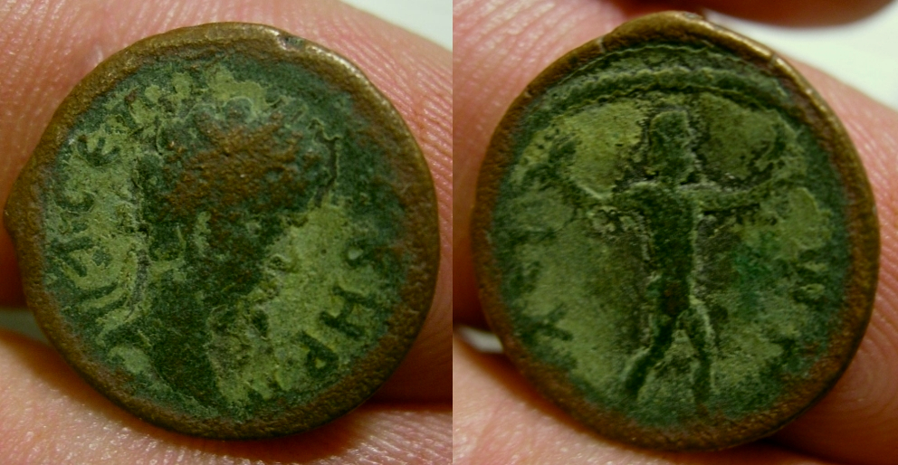 septsev.jpg