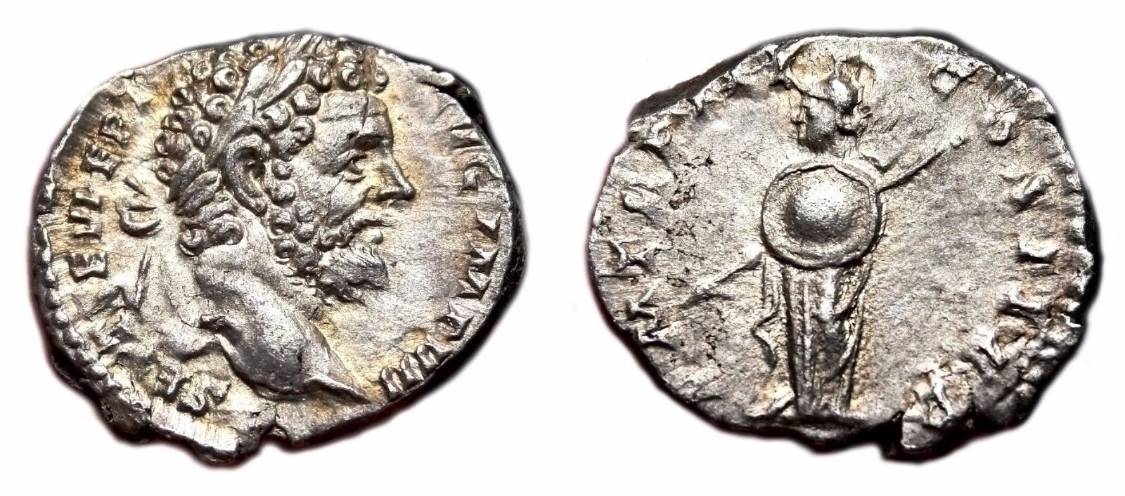 septSeverus.jpg