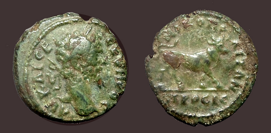 SeptSevNicopolisBull.jpg