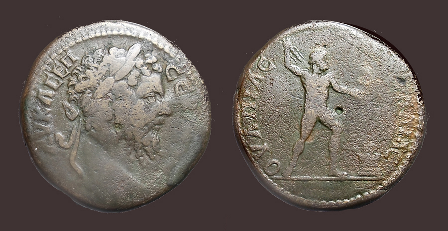 SeptSevPautaliaZeus.jpg