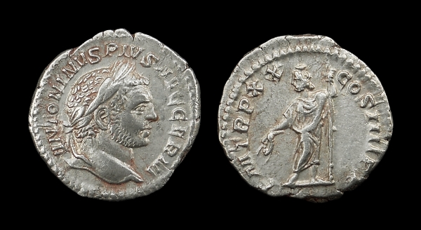 serapis 600.jpg