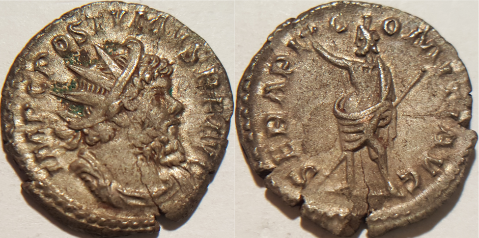 Serapis.png