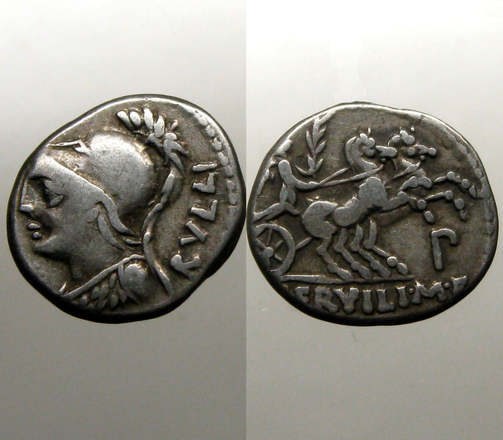 servillias-l1600.jpg