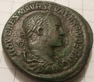 Sester3.jpg