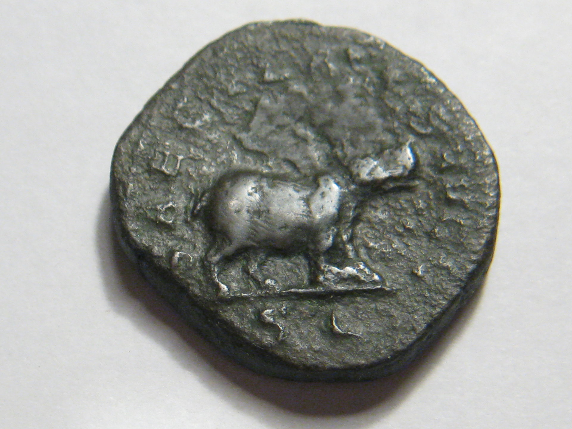 sesteterius Otacilia Severus pachyderm (hippo) 002.JPG